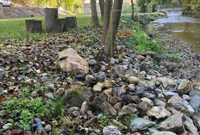 Proprietar. Vand teren. Paraul Runcu este limita de proprietate. Drum asfaltat - 4