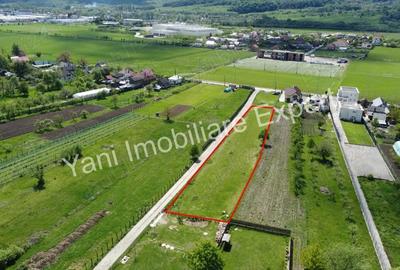 Teren de 2414 mp, în Valea Uleiului - 10