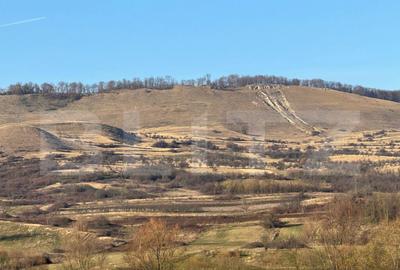 5 terenuri extravilane agricole cu suprafata totala de 13.37 - 12