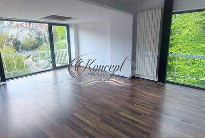 Birou, de 256 mp, în Semicentral - 10