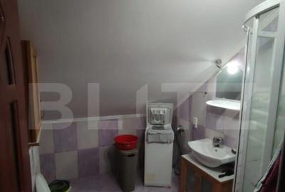 Casa cu 2 apartamente in Livezeni - 9