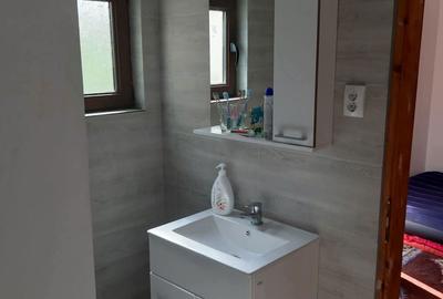 Casă cu 2 camere în Berislăvești - 8