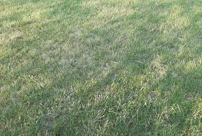 Teren intravilan 2000mp - 4