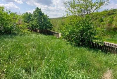 Teren de 1490 mp, în Miroslava - 2