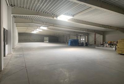 Hala de vanzare, situata in Sanandrei, judetul Timis - 9