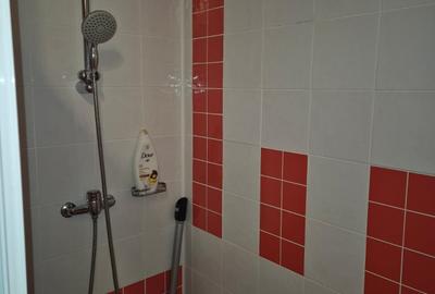 Apartament 2 camere în zona Spitalul Județean - 9