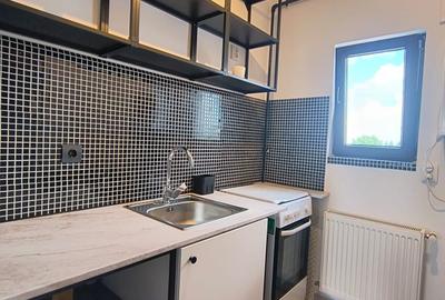 Apartament decomandat în Jiului - 7