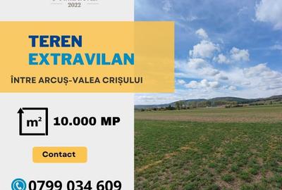 Teren Construcții extravilan de 10000 mp, în Valea Crișului