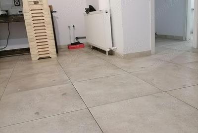 Spațiu comercial, de 40 mp, în Precista - 11