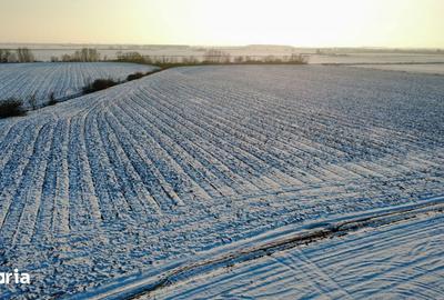 Teren de 17800 mp, în Giroc - 3