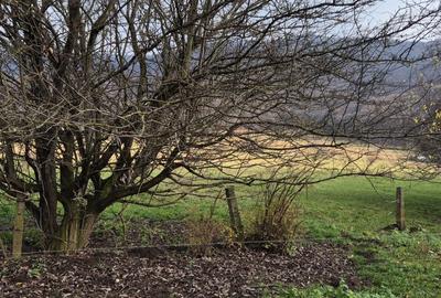 Teren intravilan de 5200 mp, în Cristian - 5