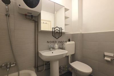 Apartament cu 3 camere semidecomandat în Vatra Luminoasă - 11