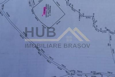 Teren Zarnesti | Tohanita | Intravilan | PUZ aprobat | Fara Utilitati | 9.053mp - 12