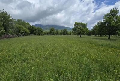Teren în Prundu Bârgăului - 5