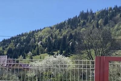 Spațiu comercial, în Ceahlău - 3