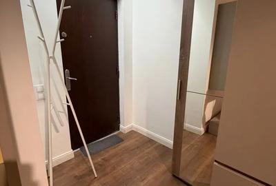 Apartament cu 2 camere semidecomandat, mobilat în Plopilor - 11