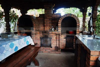 Casa individuala 5 camere cu teren de 1900mp - 21