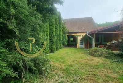 Casă cu 3 unități locative de închiriat – Cisnădioara, Sibiu - 15