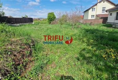 Teren de 958 mp, în Micești - 8