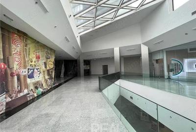 Spațiu comercial, în Berceni - 8