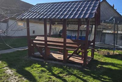 Casă cu 2 camere cu Teren 899 Mp în Covaci - 12