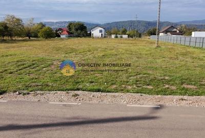 Teren de vanzare 1800 mp - Dumbrava Rosie - 7