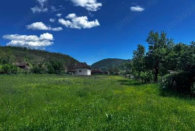 Casă cu 2 camere în Balșa - 4