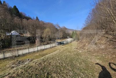 Casă cu 6 camere cu Teren 4159 Mp în Central - 5