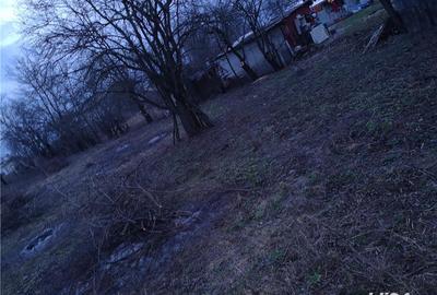 Teren de 1000 mp, în Răcari - 4