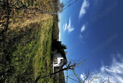 Casă cu 6 camere în Păuliș - 7