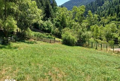 Teren de 1349 mp, în Scărișoara - 4