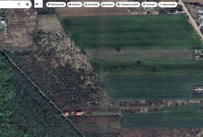 `Teren cu dubla deschidere, langa padure, Snagov - Strada Pa - 3