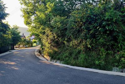 Teren de 3250 mp, în Păușești - 5