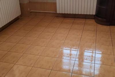 Duplex elegant in vila 450mp utili-Catedrala-Palatul Parlamentului - 3