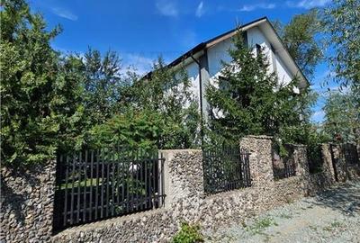 Vila superba, cu piscina, 970mp teren, D+P+E+M, gradina amenajata+pomi fructifer - 4