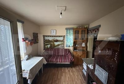 Teren 3000 mp + 2 case de vanzare-Ca?eiu - 7