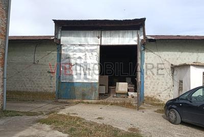 Depozit și hală industrială de vânzare – Orțișoara, complex industrial Avicola - 8