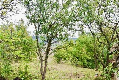 Teren de 1050 mp, în Dâmbul Rotund