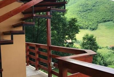 Oferta casa de vacanta P+1+M cu 1700mp teren, in Gura Raului - 47