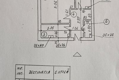 Lacul Tei, Maica Domnului vav Parc Tei - 8
