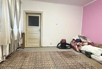 Casă individuală cu 4 camere cu Canalizare în Viile Noi - 3