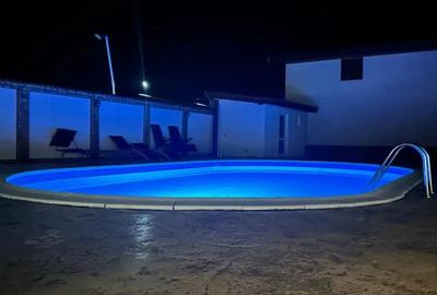 2 Case Vacanta sat Vrancea la Dunare - 7