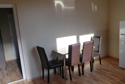 Apartament cu o camera Buziasului - 3