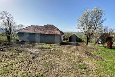 Casa  cu 10000mp de teren in Buza, la 50 km de Cluj-Napoca - 10
