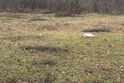 Spațiu comercial, în Batăr - 7