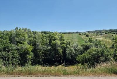 Teren intravilan,  ideal constructie casa, 12 ari in zona Valea Ghinzii - 5