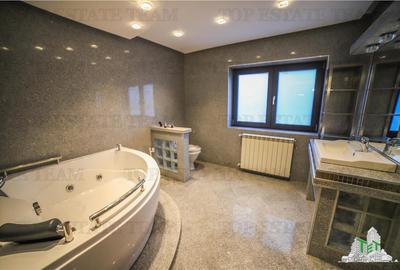 Duplex cu 7 camere cu Canalizare în Iancu Nicolae - 10