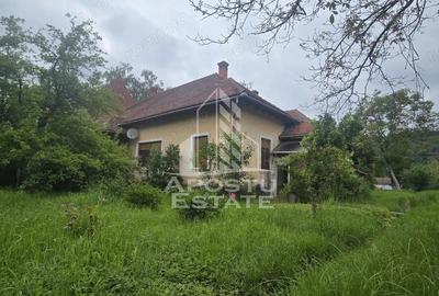 Proprietate cu potential turistic in Gurahont - 1