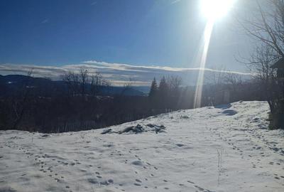 Teren de 5400 mp, în Sălătrucel - 4