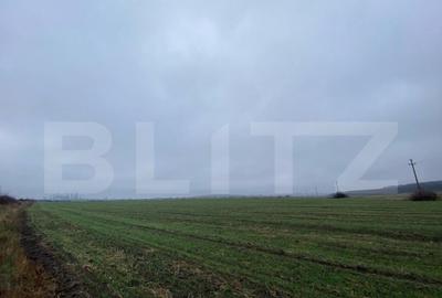 Teren de 41000 mp, în Central